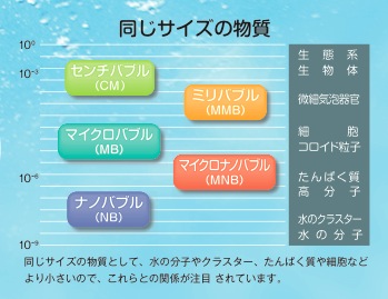 Photo_3 Photo_3